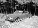 Autofriedhof - 226